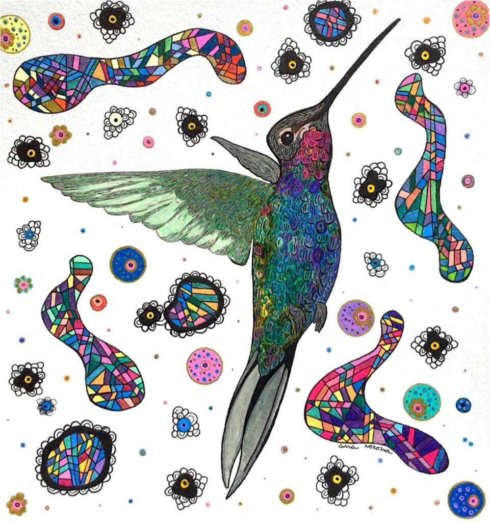 Ilustración de un colibrí con muchos colores